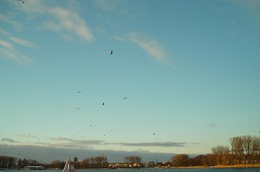 MALTA POZNAŃ - ŚNIEG NA MALCIE - 25-01-2007 #MALTAPOZNA #ŚNIEGNAMALCIE #Malta #jezioro #Śnieg2007