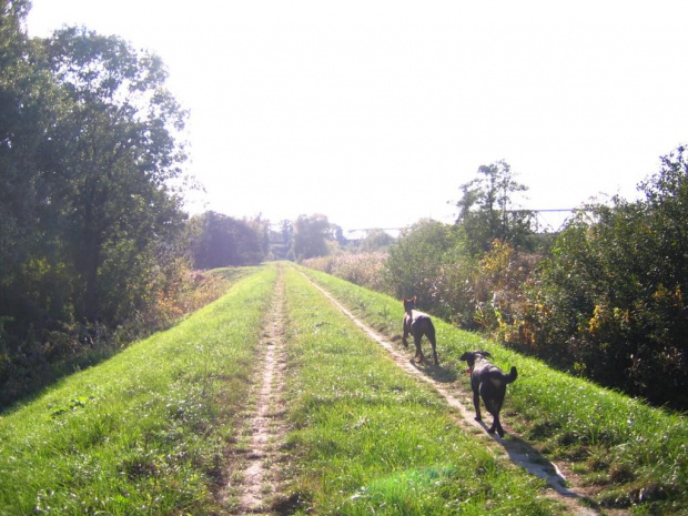 22.10.2006 - BRZEGIEM REDŻI