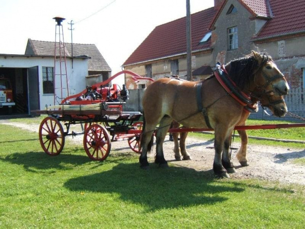 Przygotowywanie naszej sikawki do pokazu w Komendzie Powiatowej Państwowej Straży Pożarnej w Brzegu z okazji Dnia Strażaka.