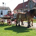 Przygotowywanie naszej sikawki do pokazu w Komendzie Powiatowej Państwowej Straży Pożarnej w Brzegu z okazji Dnia Strażaka.