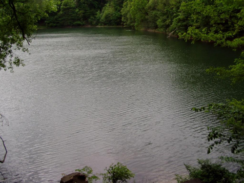 #jezioro #szmaragdowe #PuszczaBukowa #puszcza #zdroje #szmaragd #szczecin