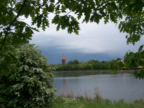 Malbork