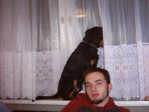 21.01.2004 - STYPA PO BYKU U PILARA I ROBA