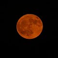 Wschód Księżyca 11.06.06. Autor - Piotr Bednarek #księżyc #wschód #moon #teleskop #PiotrBednarek