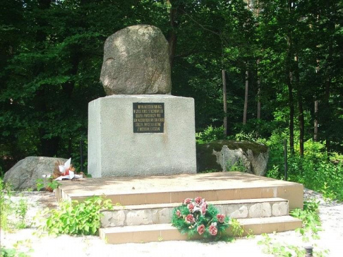 Pomnik w miejscu bitwy rozegranej w czasie Powstania Styczniowego w 1863 roku #pomnik #pomniki