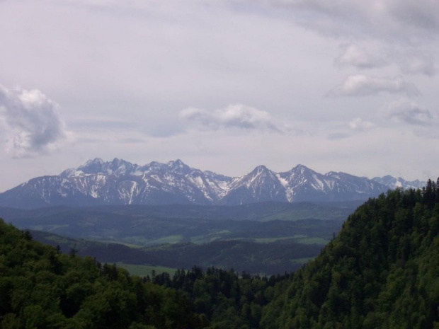 tatry z sokolicy