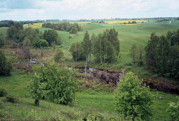 okolice góry Rejmona