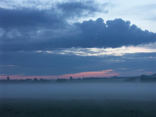 mgła nad łąką #łąka #mgła #przyroda