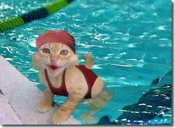 WATER_CAT