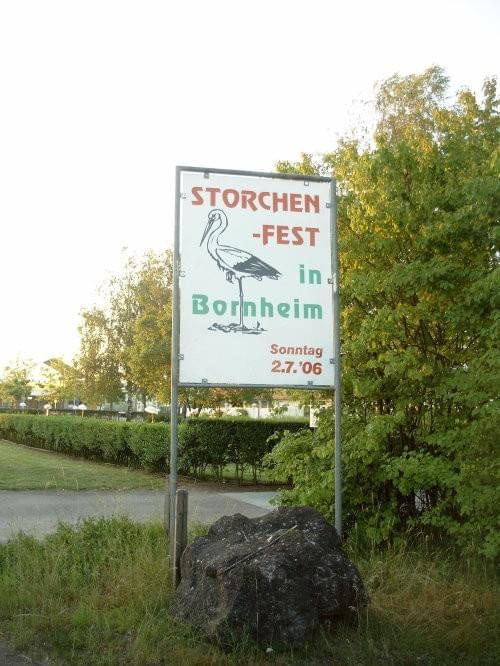bocki Bornheim #bociany #bornheim #gniazdo #obserwacje