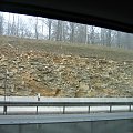 18.03.2006 - DORTMUND - STETTIN