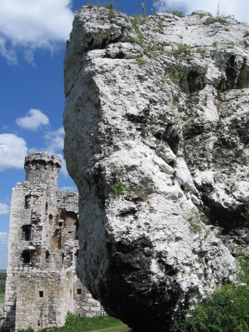 Podzamcze (Ogrodzieniec) - 02.07.2006 r.