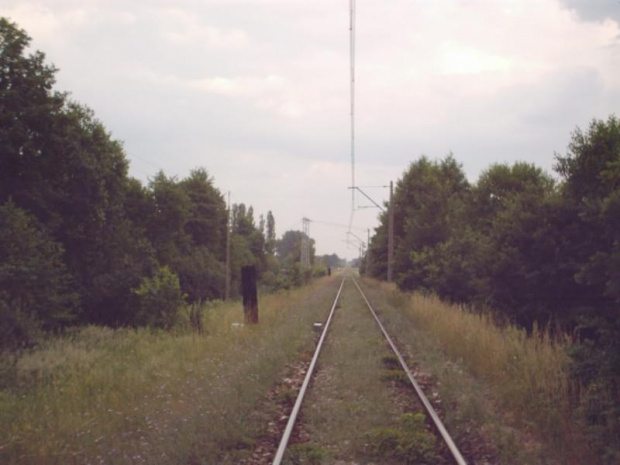 Zaraz i trakcja elektryczna się skończy... #pkp #tomaszów