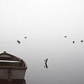 Wałcz, jezioro Raduń. #sebbes #Wałcz #jezioro #Raduń #mgła