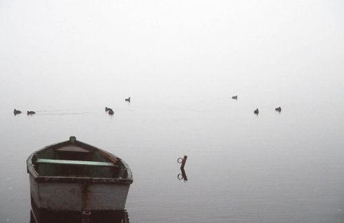 Wałcz, jezioro Raduń. #sebbes #Wałcz #jezioro #Raduń #mgła