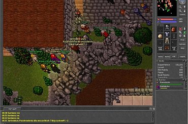 Wystawa itemków (w tym rarów) dla noobów urządzona wraz z kolegami z gildii. #Tibia