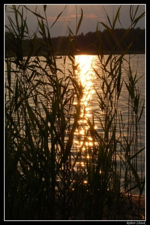 #jezioro #słońce #wakacje #lato