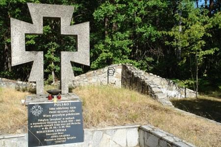 Mogila młodzieżowego oddziału Armii Krajowej - Jerzyki #KampinowskiPaarkNarodowy