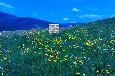 Zdjecie wykonane telefonem Nokia N70 09-06-2006 #MiędzybrodzieŻywieckie #Wakacje #Góry #Czerwiec #NokiaN70 #Nokia #N70