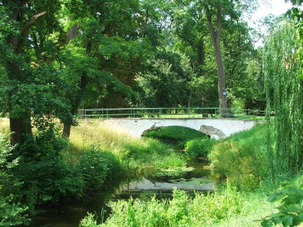 Dęblin - zespół pałacowo-parkowy #Dęblin #park #zabytek #zabytki