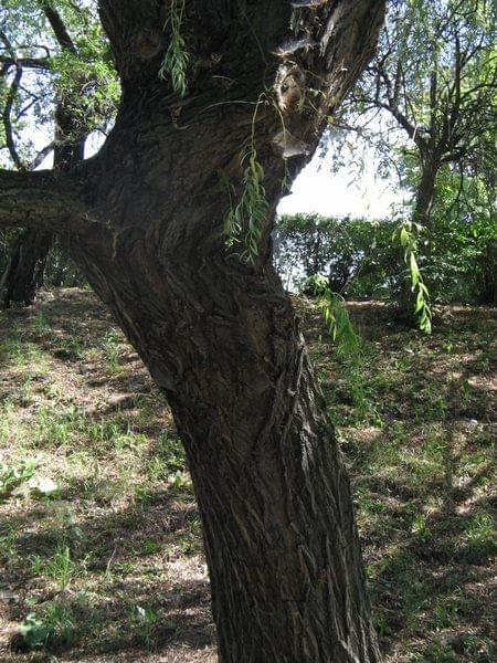 spacer do Doliny Marzeń #park #Toruń #widoki