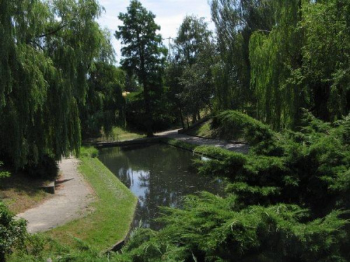 spacer do Doliny Marzeń #park #widoki