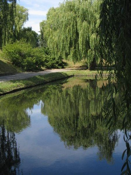 spacer do Doliny Marzeń #park #Toruń #widoki