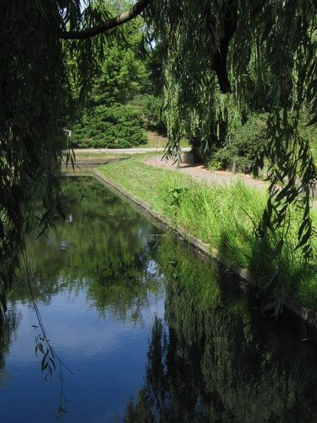 spacer do Doliny Marzeń #park #Toruń #widoki