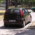 kameleon na punto 2