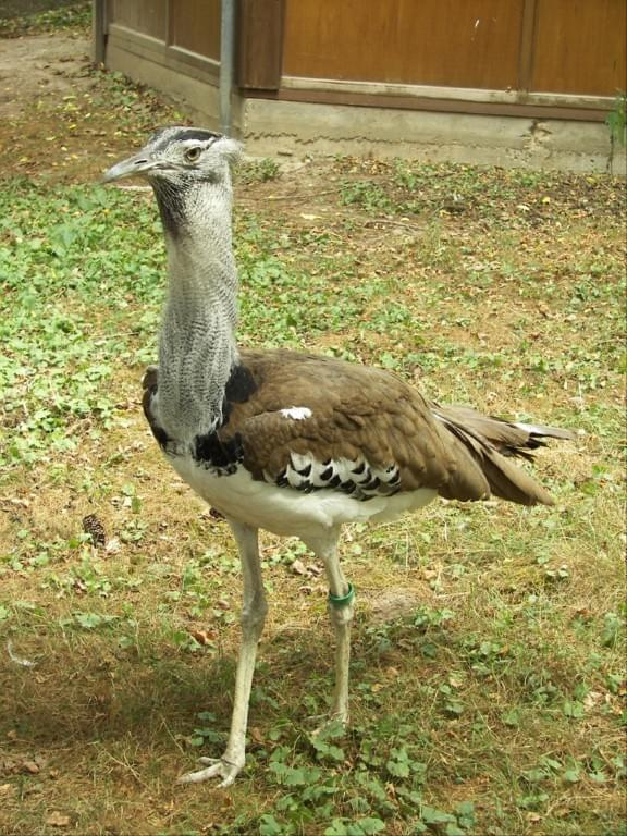 Zoo Krefeld #Zoo