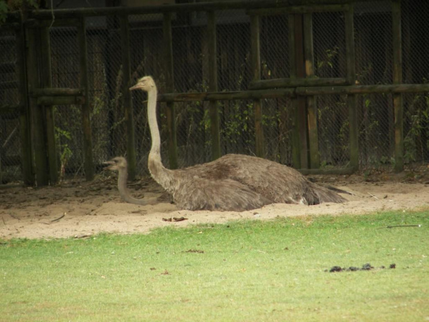 Zoo Krefeld #Zoo