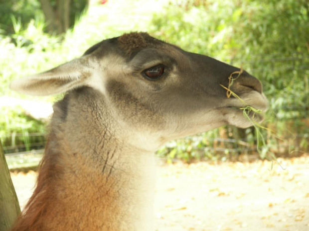 Zoo Krefeld #Zoo