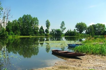 Sieciechów - Jezioro Czaple #Sieciechów #jezioro #Czaple