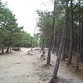 LATARNIA