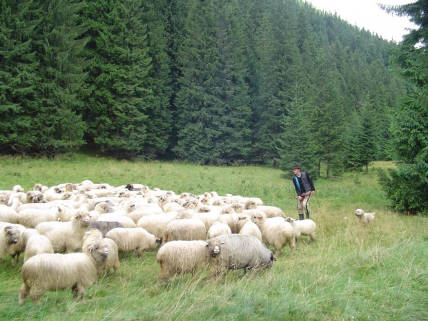 Tatry