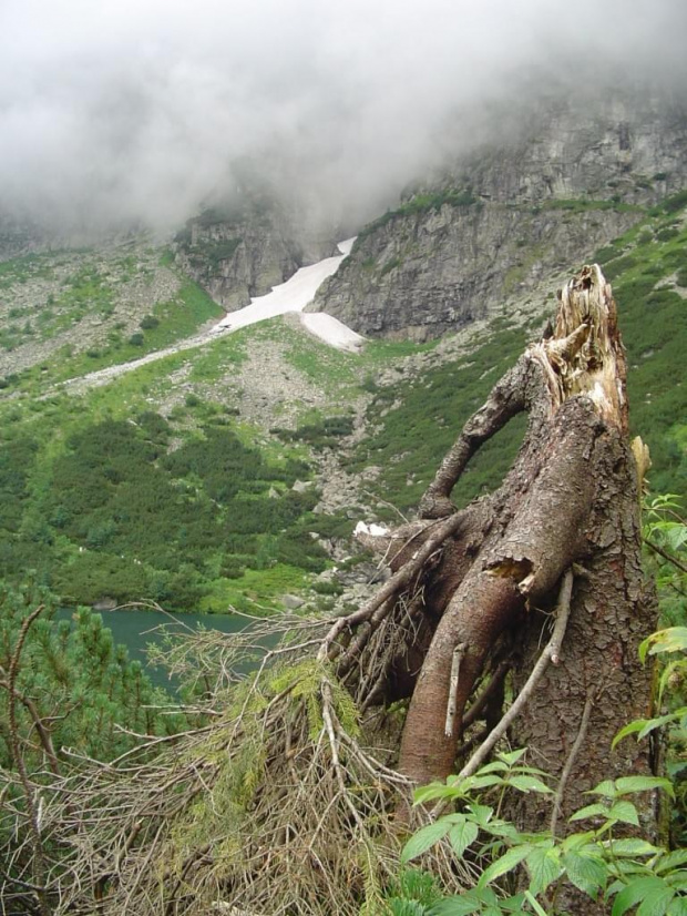 Tatry