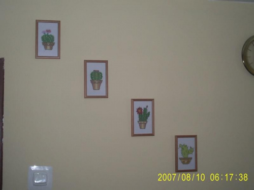 haft krzyzykowy seria kaktusow