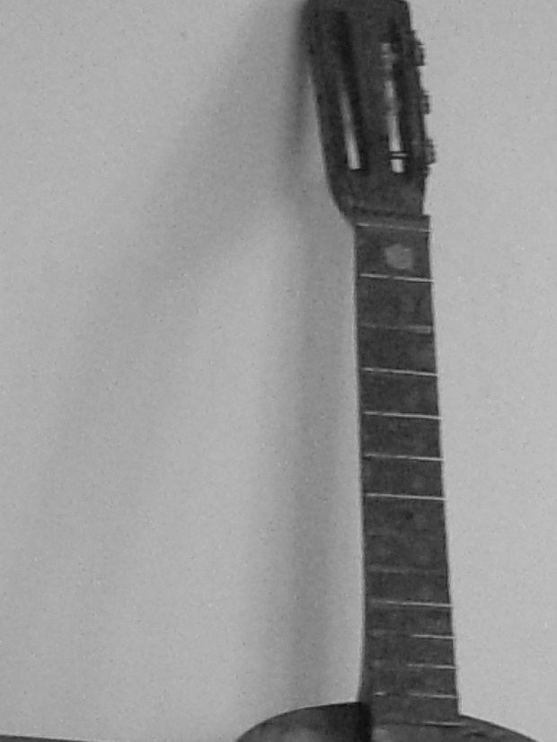 Gitara