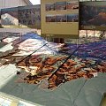 Arizona 12-08-2006