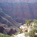Arizona 12-08-2006