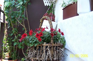 ciekawy kosz #kwaity #klonik #balkon