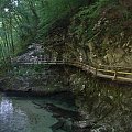 Wakacje 2006