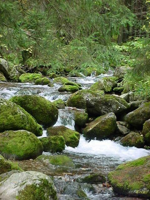 Zakopane